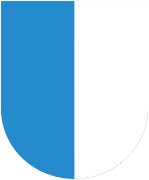 Luzern flag