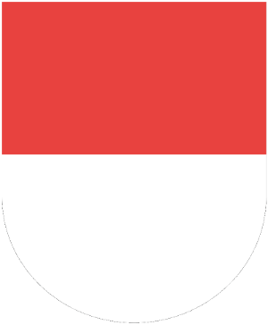 Solothurn flag